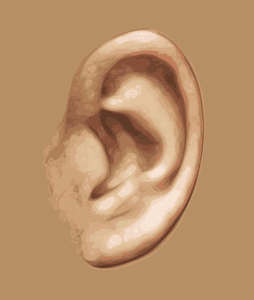 אוזן